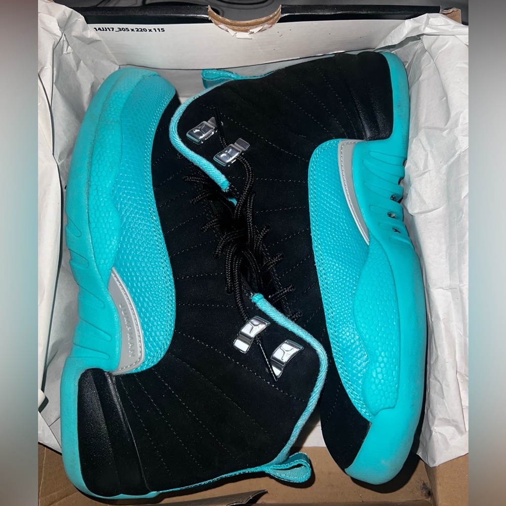 Jordan retro 12s